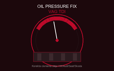 Oil Pressure Fix - korekta cisnienia oleju VAG Gorzów Wielkopolski
